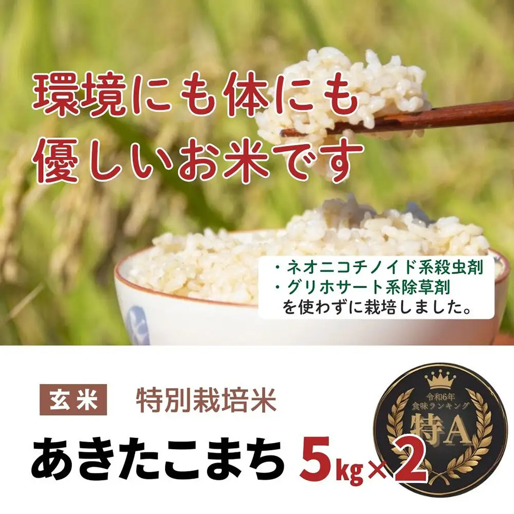 米 令和7年産【特別栽培米】あきたこまち【玄米】10kg（5kg×2）