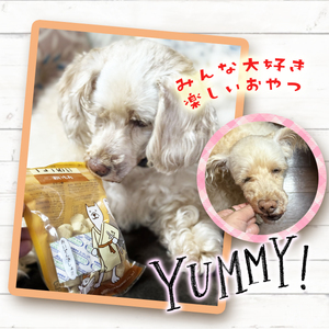 チョイあげ かつおくん 100パック 1袋35ｇ 100P わんちゃんのおやつ ペット用 おやつ ごほうび しつけ ペットフード トリーツ