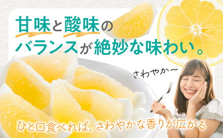 フルーツ 日向夏 フルーツ[《2027年発送先行予約》 2.5kg 宮崎県産]