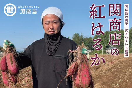 【期間限定】 関商店 焼き芋 紅はるか 6kg 国産 茨城県産 砂糖不使用 焼き芋 やきいも 焼芋 焼きいも べにはるか ベニハルカ 甘い 柔らかい 安心 安全 品質 食味 おやつ 62-I ＜2027年4月20日まで受付＞