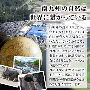 isa649 【定期便4回】工場開設一周年記念 牛肉堪能定期便(合計3.4kg) 黒毛和牛 リブロース サーロイン ステーキ スライス 大判 焼肉 牛 うし 牛肉 すきやき しゃぶしゃぶ 牛しゃぶ ロース アウトドア 食べ比べ BBQ 冷凍 【サンキョーミート株式会社】