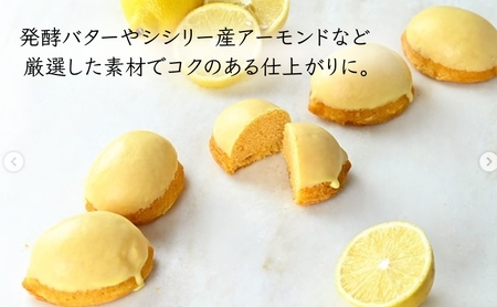 瀬戸内レモンケーキ 10個 レモンケーキ ケーキ