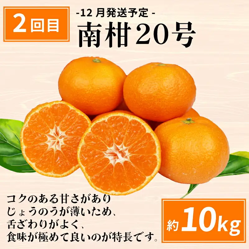えひめの旬の柑橘 6回 みかん定期便 JA みかん定期便 B120-009012