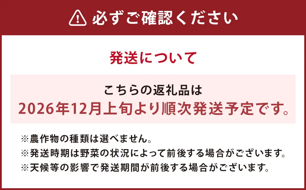 ひとよし球磨産 新鮮農作物詰合せ 【2026年12月上旬-下旬発送予定】 旬 生鮮品 野菜 農作物 お取り寄せ セット 産地直送