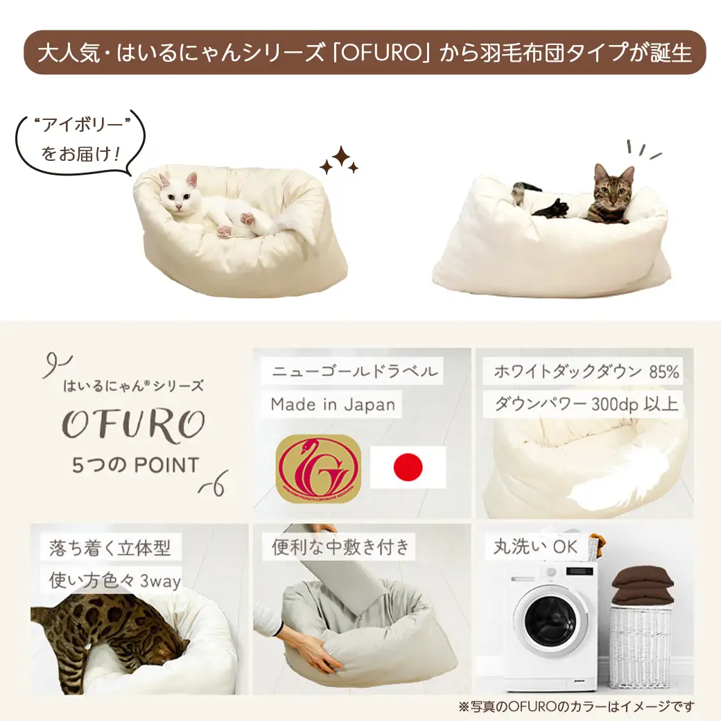 【アイボリー】ねこの羽毛ふとん「OFURO」〔AF-J206-iv〕_(都城市) 羽毛布団タイプ 大切な家族 ペット 埋もれるおふとん 夢中 ニューゴールドラベル 高品質 全部丸洗い