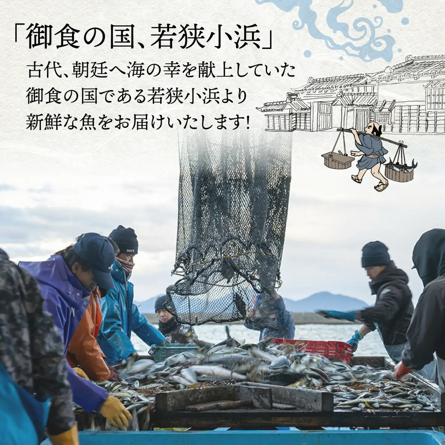 御食の国 若狭小浜より！獲れたて鮮魚BOX｜4から5kg 4から7種【配送不可地域：北海道、北東北（秋田、青森、岩手）、九州、沖縄、離島】 [BFAA060] 