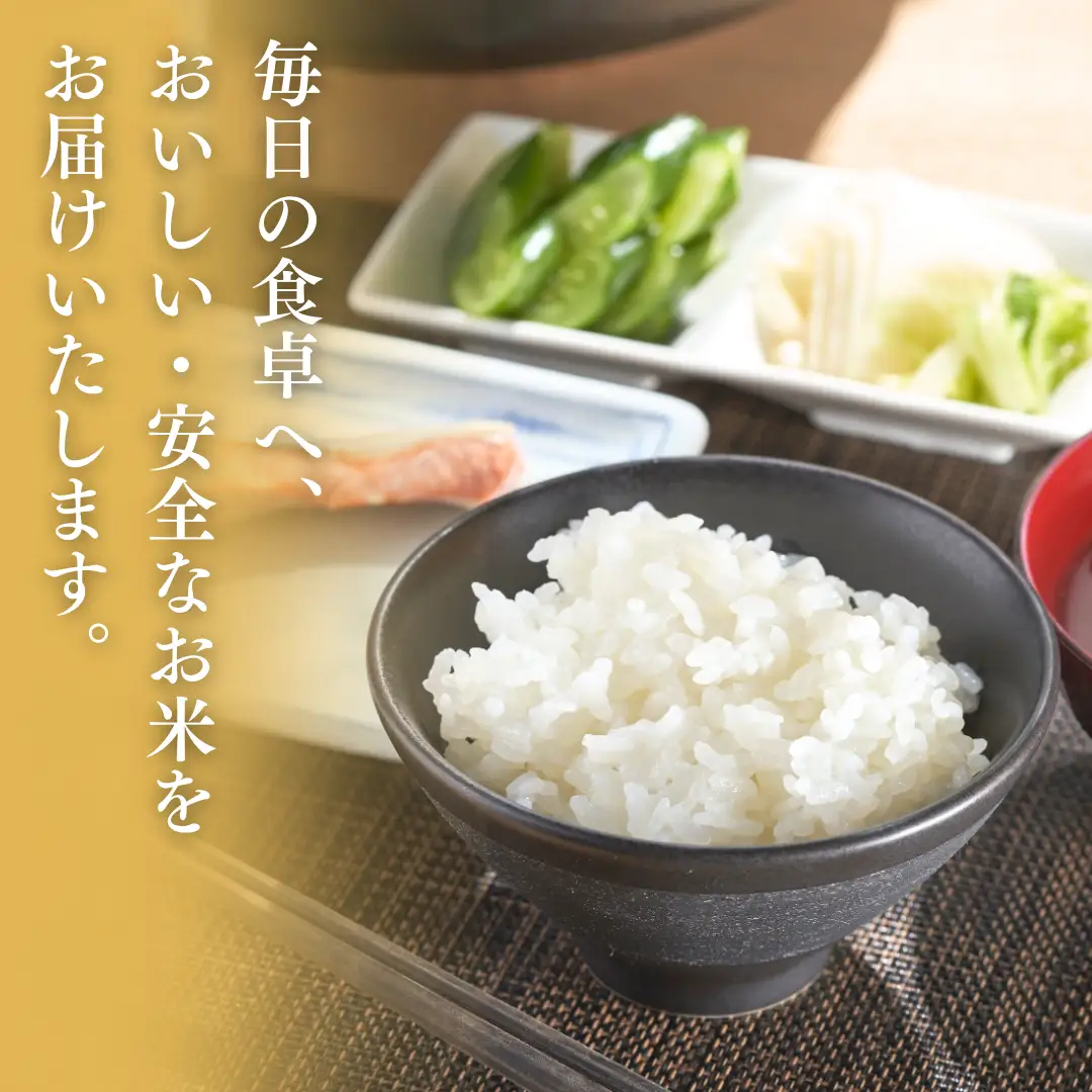 【新米】【先行予約】 「新之助」20㎏ (9月下旬より順次発送予定 ) 新潟県産 出雲崎町産 令和8年産 | 新之助 新潟県 出雲崎町