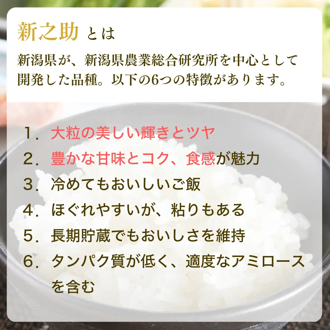 【新米】【先行予約】 食べ比べ 3種 「コシヒカリ、出雲崎の輝き、新之助」 5kg×3種類 合計15kg 令和8年産 | コシヒカリ 新潟県 出雲崎町