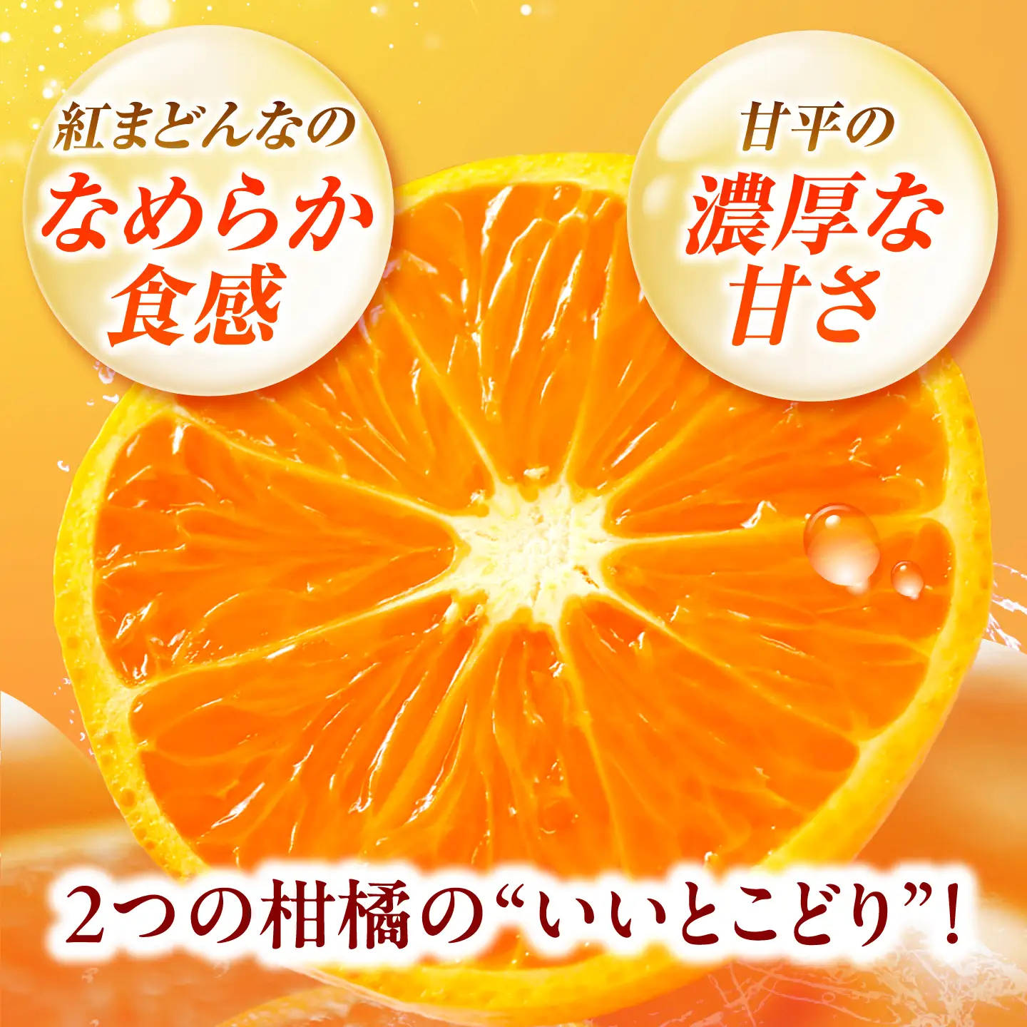 紅プリンセス 愛果48号 2.5kg M-3Lサイズ フルーツ 果物 みかん BJBI002