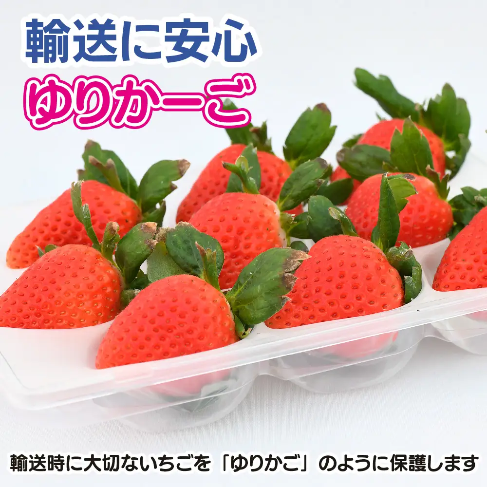 【先行受付 R9年1月より発送 農家直送】さがほのか220g×4パック(H117102)