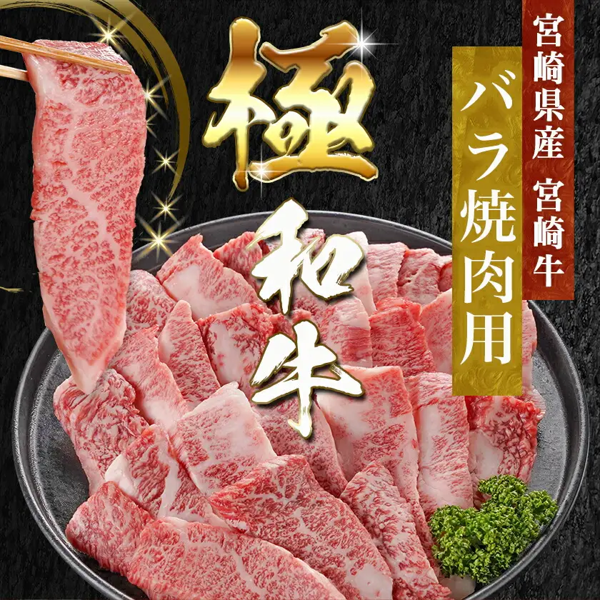 宮崎牛&黒豚バラ焼肉セット(合計1kg)〔18-N402〕_(都城市) 宮崎県産宮崎牛 都城産黒豚  バラ焼肉用 各500g×1P セット 焼肉用カット 焼肉 BBQ 冷凍