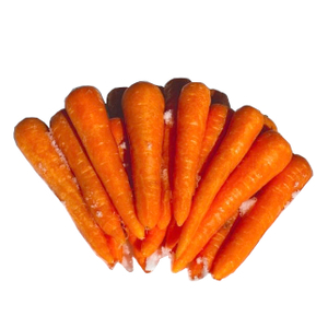 【訳あり】 雪中にんじん 約5kg K-farm | にんじん