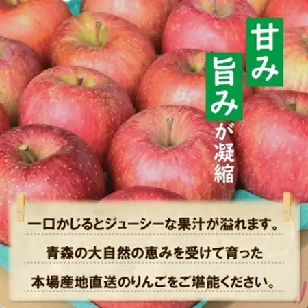 【27年5月から順次発送】平均糖度13度以上! 有袋ふじ 約10kg 訳あり CA貯蔵 クール便_果物・フルーツ りんご  リンゴ 林檎_【配送不可地域：離島・沖縄県】【1587541】