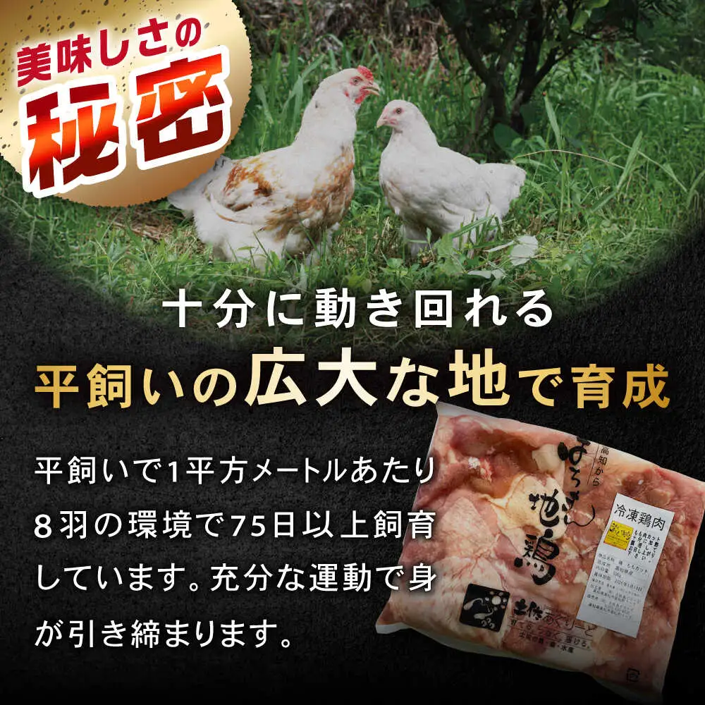 高知の地鶏はちきん地鶏モモ肉カット 約500g×1 【合同会社土佐あぐりーど】[ATBO020]