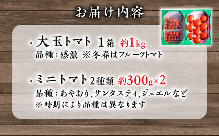 日田の濃縮トマト 2箱 計1.6kg / 日田市 / 有限会社マルカ農園(トマトファーム)[ARAH001]