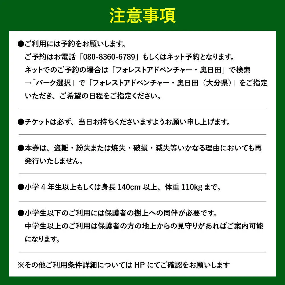 アドベンチャーコース体験チケット2名様 日田市 体験 [ARCI002]