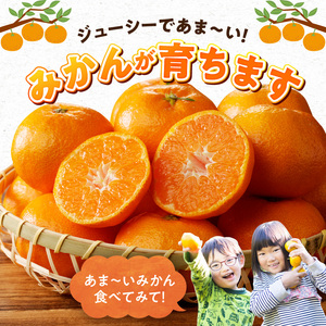 【2026年11月下旬頃より発送】高級ブランド 秀品 紀州有田田村産みかん 3kg 濃厚 糖度 酸味 バランス 甘さ コク 国産 みかん 有田みかん フルーツ 果物 果実 デザート おやつ お取り寄せ お取り寄せフルーツ 和歌山県 湯浅町 送料無料_G7339