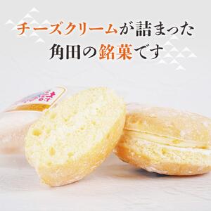 チーズブッセ 満天の詩　15個入り ｜ ささもり 和菓子 贈り物 宮城県 名物 ふるさとの味