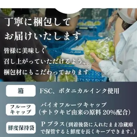 【2026年発送】数量限定 特選 プレミアムシャインマスカット 大房2房 山梨から産地直送【配送不可地域：離島】【1591108】