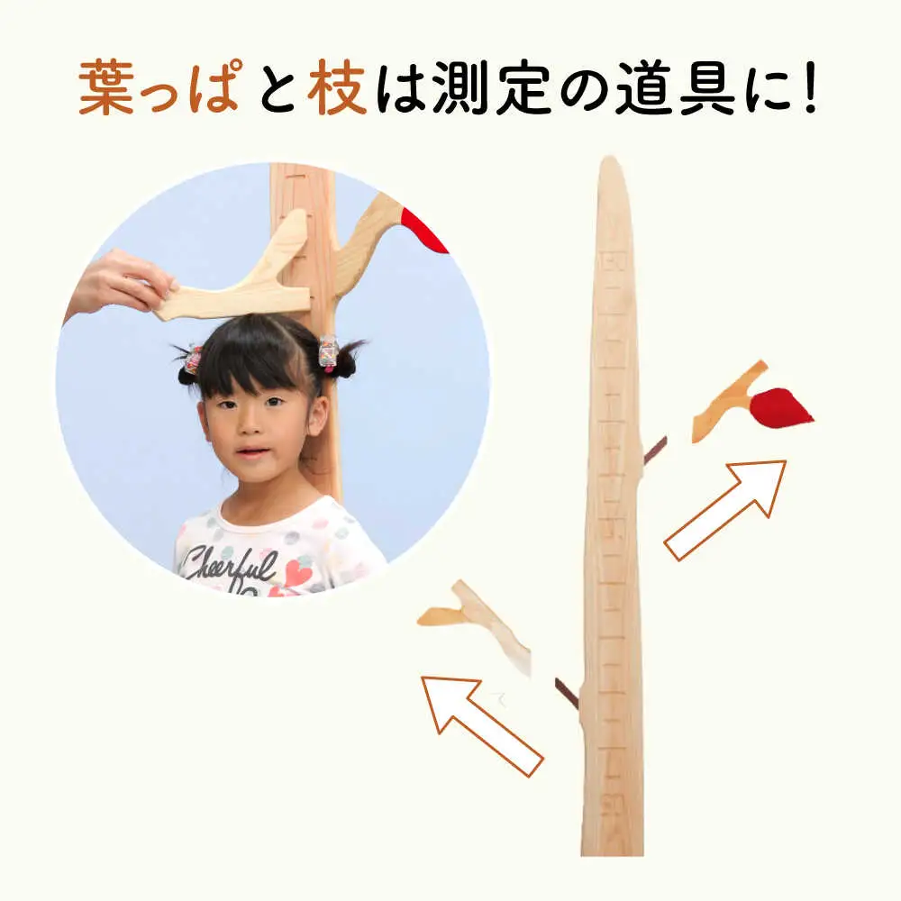 ひのき 身長計[AQBH007] 身長計
