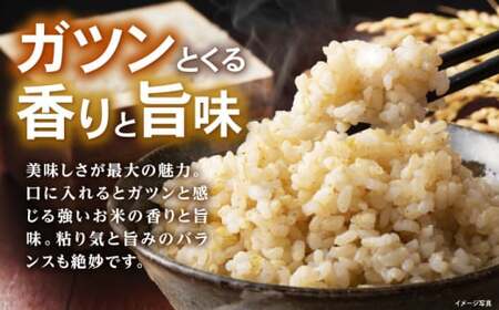 低農薬有機肥料栽培 コシヒカリ 玄米5Kg[AQBL002]こしひかり