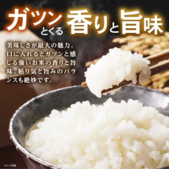 米 コシヒカリ JASオーガニック 5kg 白米 [AQBL009]白米 こしひかり