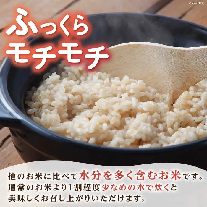 低農薬栽培 ミルキークイーン 玄米10kg[AQBL021] ミルキークイーン
