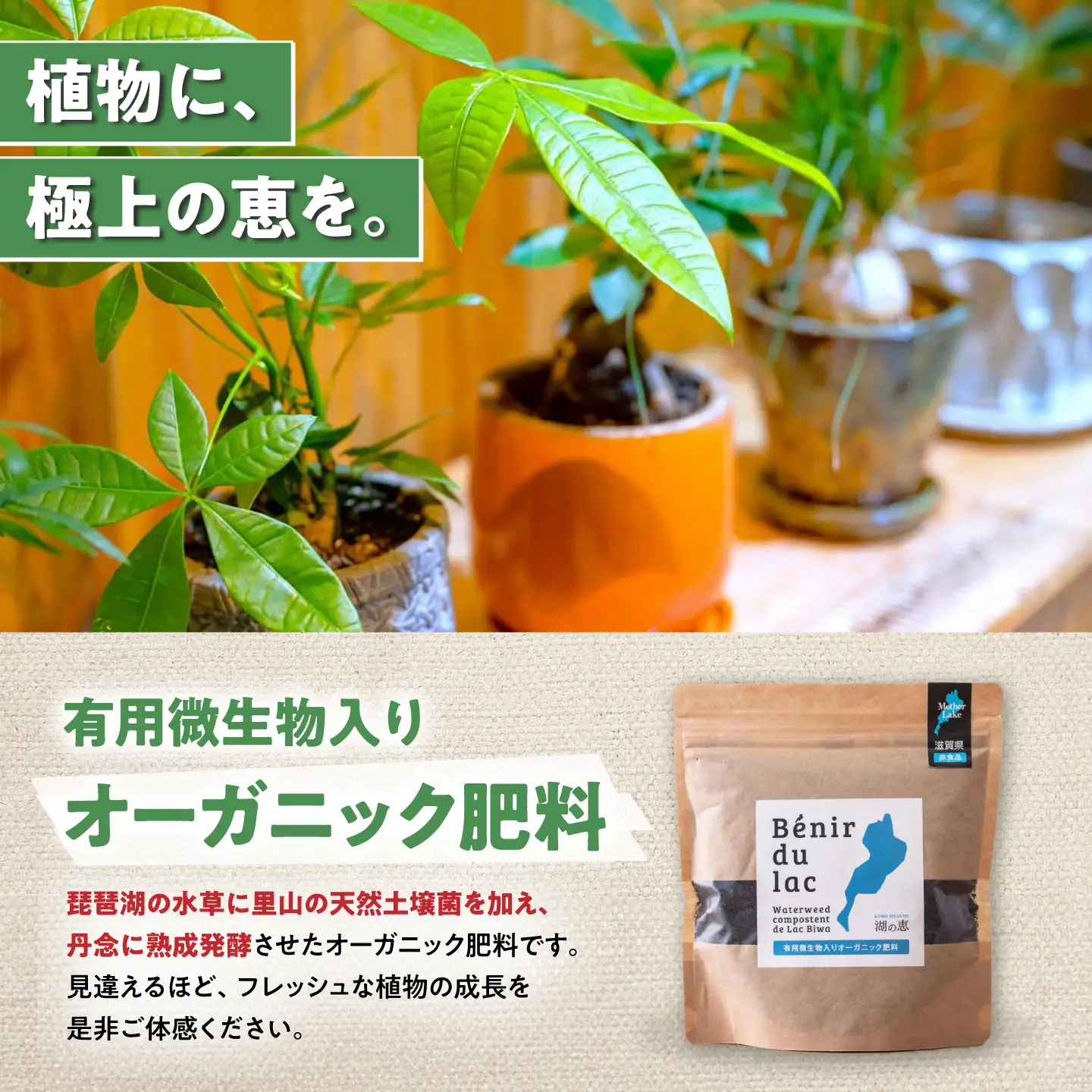 天然土壌菌入り肥料 湖の恵 添加タイプ 350g×5[AQBR002] 肥料