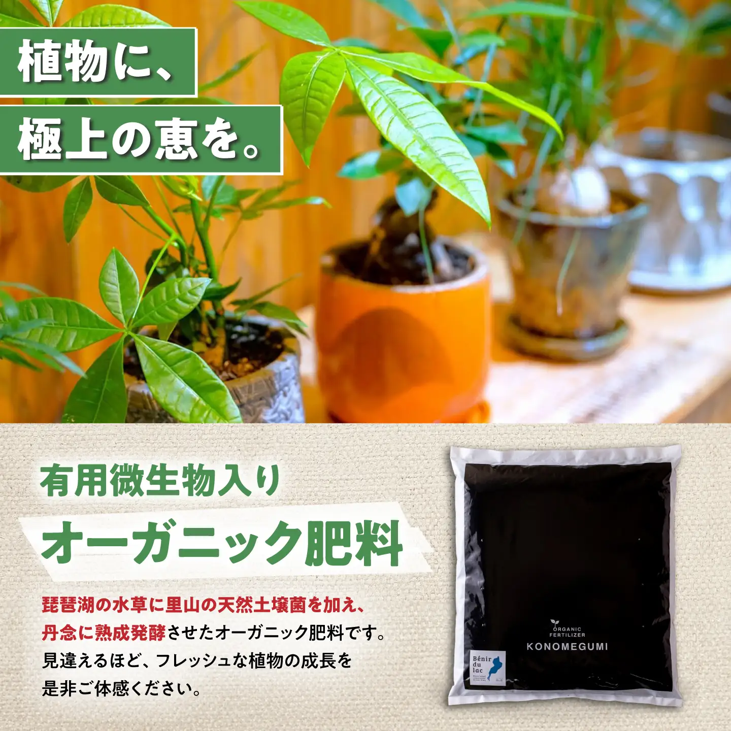 天然土壌菌入り肥料 湖の恵 屋外混合タイプ 5kg×2[AQBR004] 肥料
