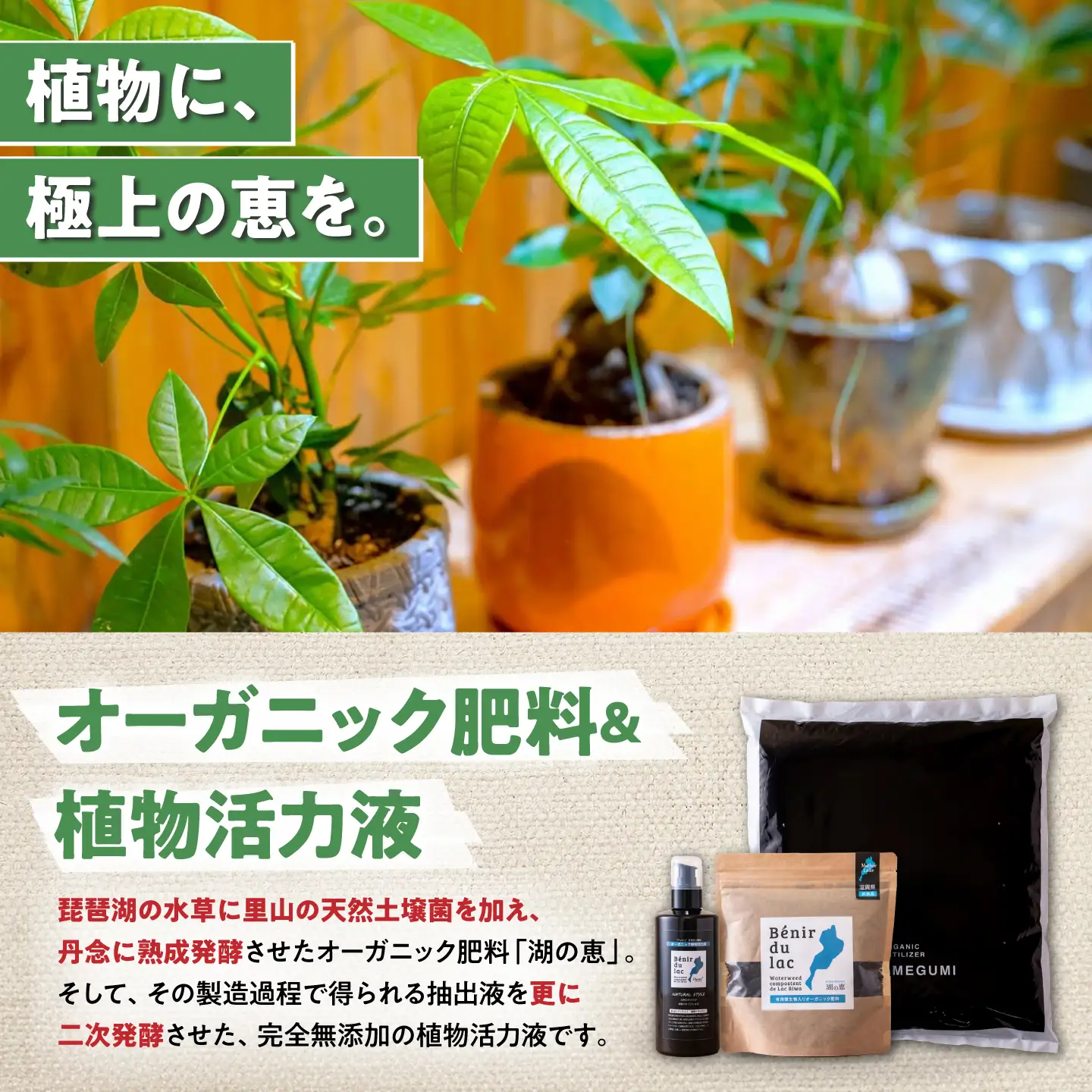 天然土壌菌入り肥料 湖の恵 観葉植物のお手入れセット[AQBR008] 肥料