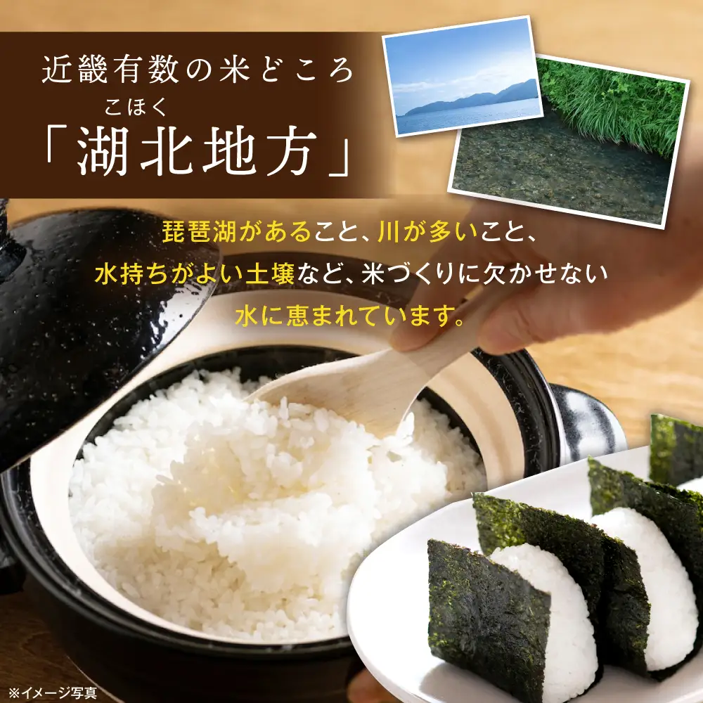 ミルキークイーン 白米4.5kg[AQAK010]ミルキークイーン