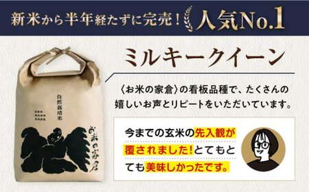 【先行予約】令和8年産 新米 ミルキークイーン 10kg 玄米 [AQCP005]
