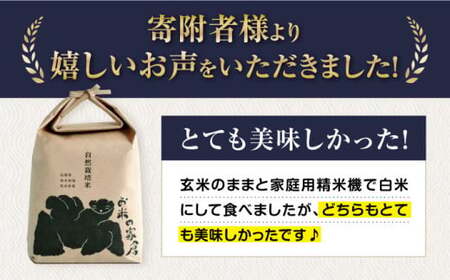 【先行予約】令和8年産 新米 6回定期 滋賀旭 2kg 白米 [AQCP046]