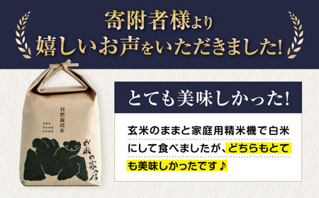 【先行予約】令和8年産 新米 6回定期 滋賀旭 5kg 玄米 [AQCP049]