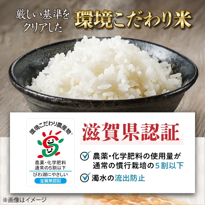 白米 新米 みずかがみ4kg白米[AQCQ004]