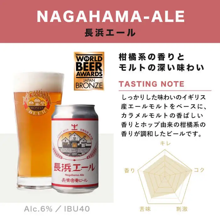 【全12回 定期便】クラフトビール 6本セット[AQBX071]クラフトビール
