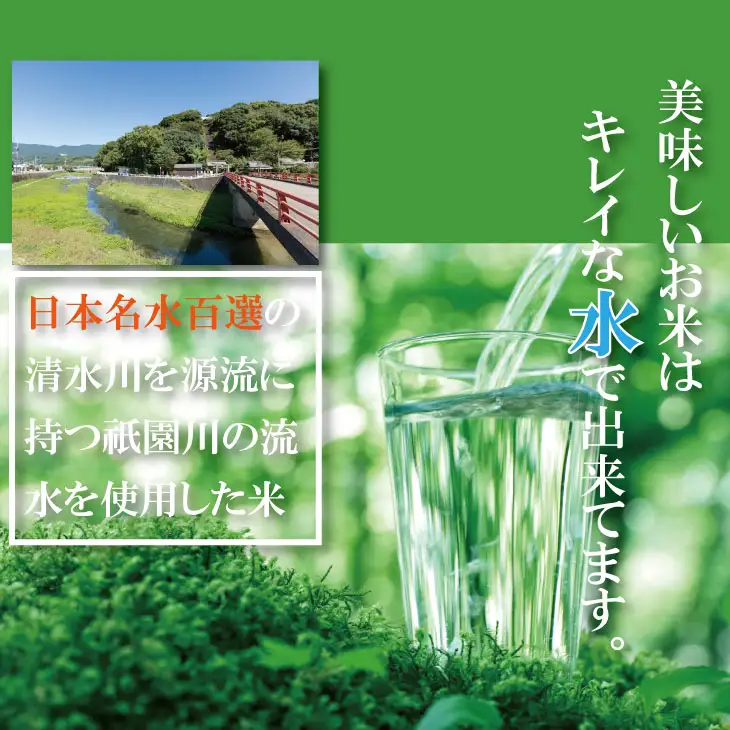 【先行予約】R8年度産（令和8年度産） 佐賀ブランド 米「 さがびより 」 10kg（5Kg×2袋） C210-021