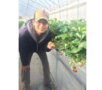 【2027年（令和9年）1月～発送】奈良ブランドいちご２種（古都華と他１種）食べ比べセット×２セット （古都華２パック＋別品種２パックの計４パック） (他１種は、かおりの・珠姫・奈乃華・ならあかり・あすかルビーのいずれか) イチゴ いちご 苺 めいとく農園
