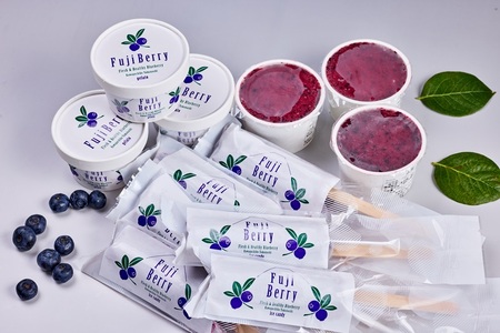 Fuji Berry アイス食べ比べセット（小） NSAA013