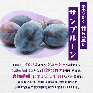 [2026年発送] 仁木町の採れたて「サンプルーン」サイズ混載 2kg（500g×4パック） 北海道 仁木 果物 フルーツ プルーン [フルーツショップ妹尾観光農園]