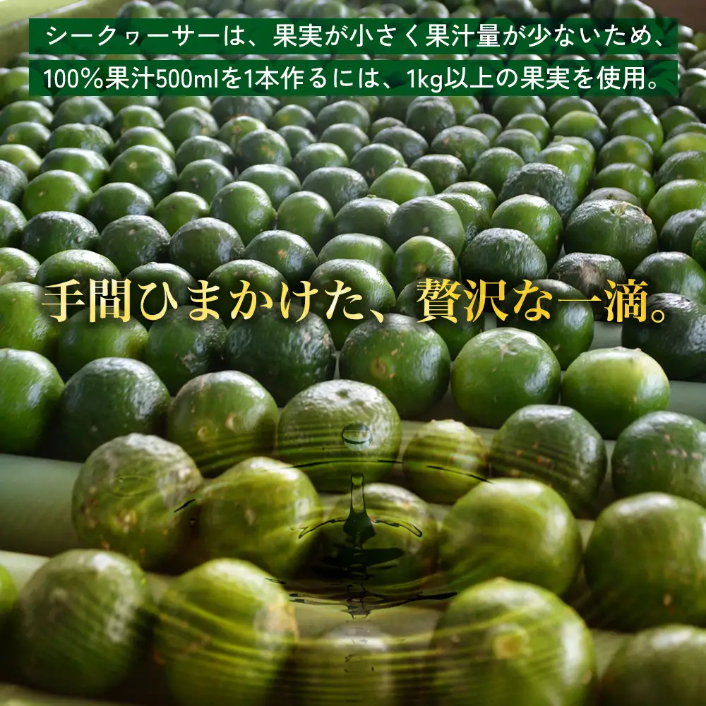 オキナワシークヮーサー100％ 500ml×2本セット