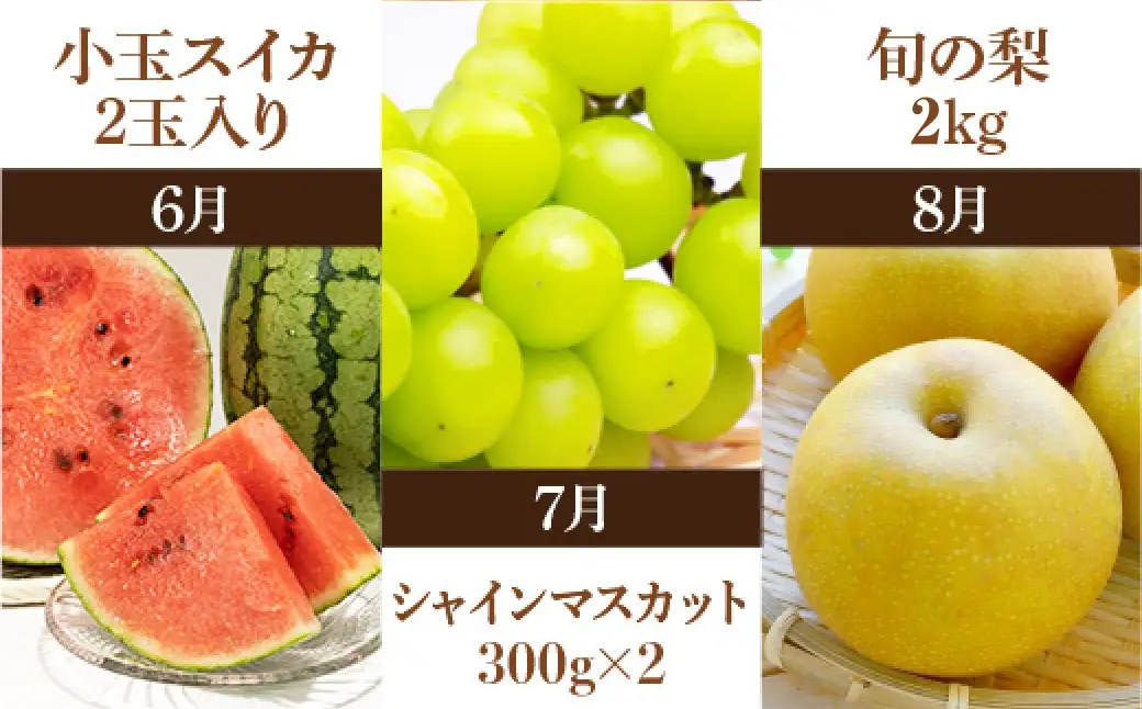 ＜ R8年熊本地震復興支援 ＞プロが選ぶ！旬の果物 6ヶ月定期便 【2027年3月上旬～8月下旬発送予定】 フルーツ いちご 柑橘 メロン スイカ シャインマスカット 梨