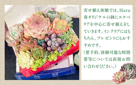592 Haru春で使える3,000円分チケット（500円×6枚）