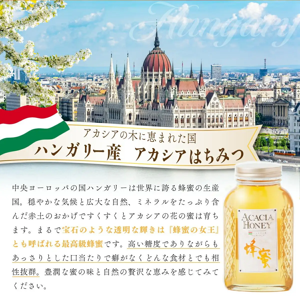 はちみつ ハンガリー産アカシア蜂蜜・カナダ産結晶蜂蜜 はちみつ