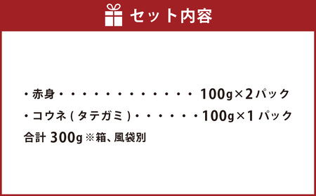 【熊本名物】馬刺し セット（赤身200g、コウネ（タテガミ）100g） 計300g 馬刺し 赤身 コウネ セット 馬刺 馬肉 お肉 小分け 冷凍 熊本県 熊本市