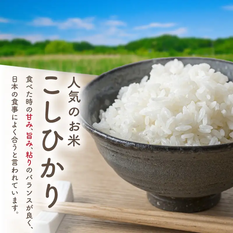 令和7年産　京都・京丹後産コシヒカリ　5kg（5kg×1袋）お米 ごはん ご飯 コシヒカリ こしひかり おにぎり 精米 白米 ふるさと納税 米