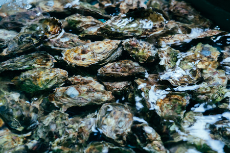【予約商品】牡蠣　広島　むき身牡蠣800ｇ　矢野水産【配送不可：離島】【配送時期：2027年1月上旬～2027年4月上旬】