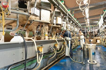牧場直送十夢ジェラート6個、生キャラメル2袋セット【配送不可：離島】