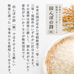 【定期便】 【令和7年産】 広島県産 お米マイスター厳選米  【出荷直前精米】 15kg(5kg×3回）