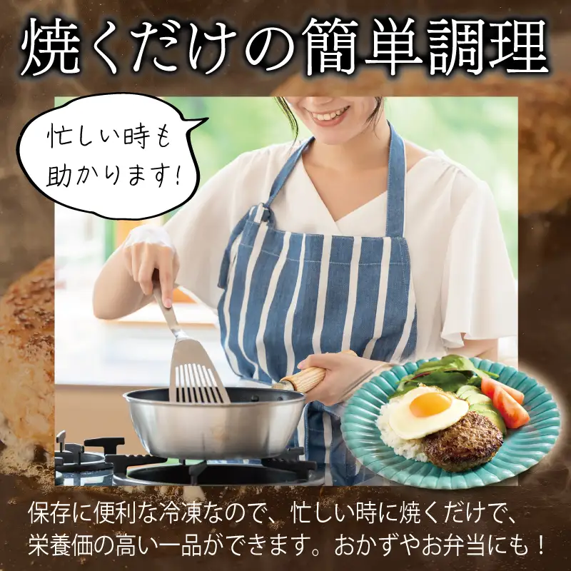 桜文 馬肉ハンバーグ 総量2.4kg（120g×20個） 個包装